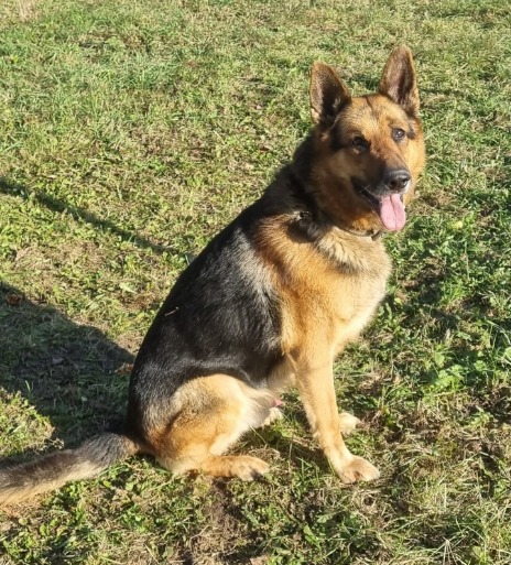 Screenshot 2026-02-11 014820