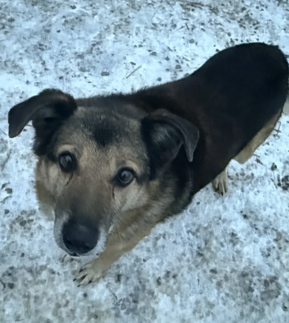 Screenshot 2026-02-11 024319